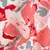 vivid floral print 