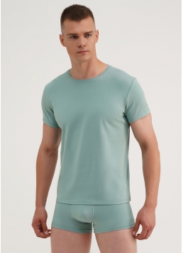 Классическая мужская футболка Adam 49/409/010 mint (зеленый)