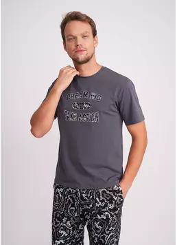 Мужская футболка с принтом STREET SEAL 4602/010 antracite/letter print (серый)