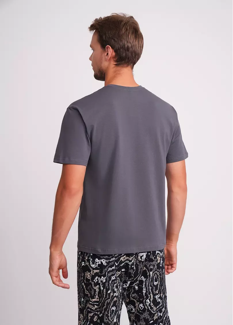 Мужская футболка с принтом STREET SEAL 4602/010 antracite/letter print (серый)