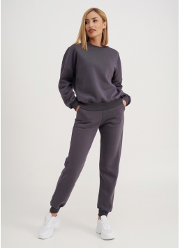 Спортивні штани на флісі SPORT STYLE 4305/170 grey (сірий)