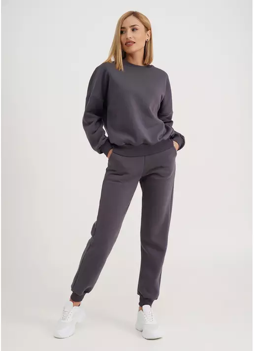 Спортивні штани на флісі SPORT STYLE 4305/170 grey (сірий)