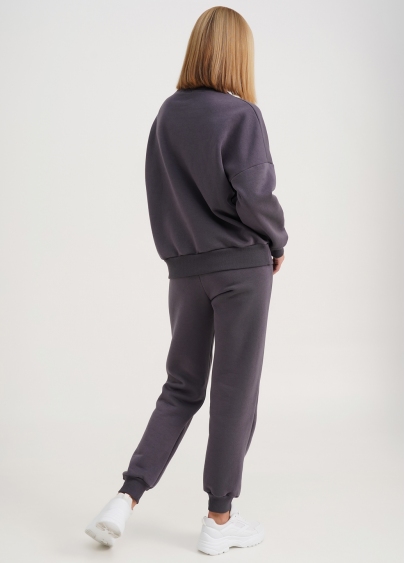 Спортивні штани на флісі SPORT STYLE 4305/170 grey (сірий)