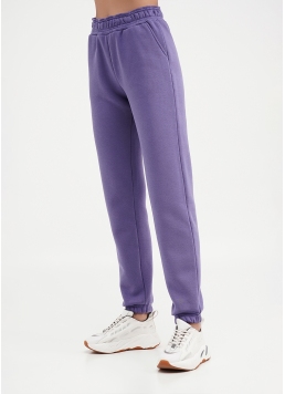 Спортивні штани на флісі SPORT STYLE 4312/170 plum (фіолетовий)