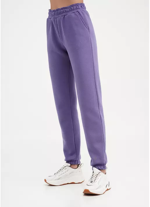 Спортивные штаны на флисе SPORT STYLE 4312/170 plum (фиолетовый)