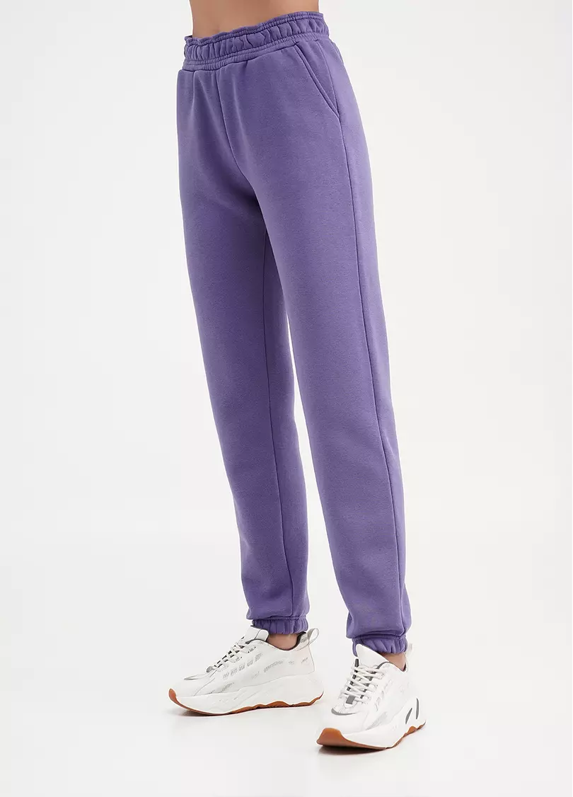 Спортивні штани на флісі SPORT STYLE 4312/170 plum (фіолетовий)
