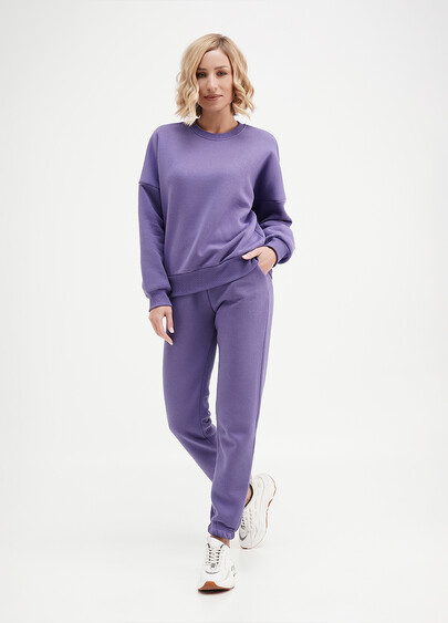 Спортивные штаны на флисе SPORT STYLE 4312/170 plum (фиолетовый)