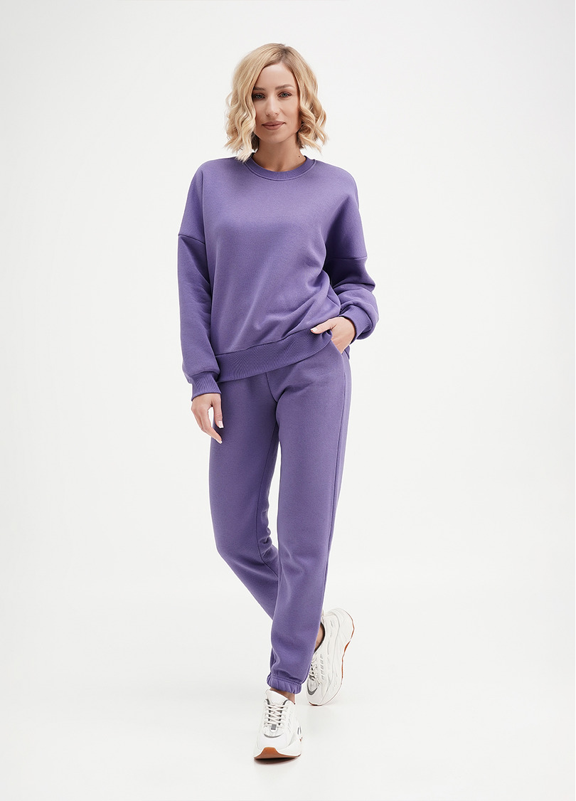 Спортивні штани на флісі SPORT STYLE 4312/170 plum (фіолетовий)