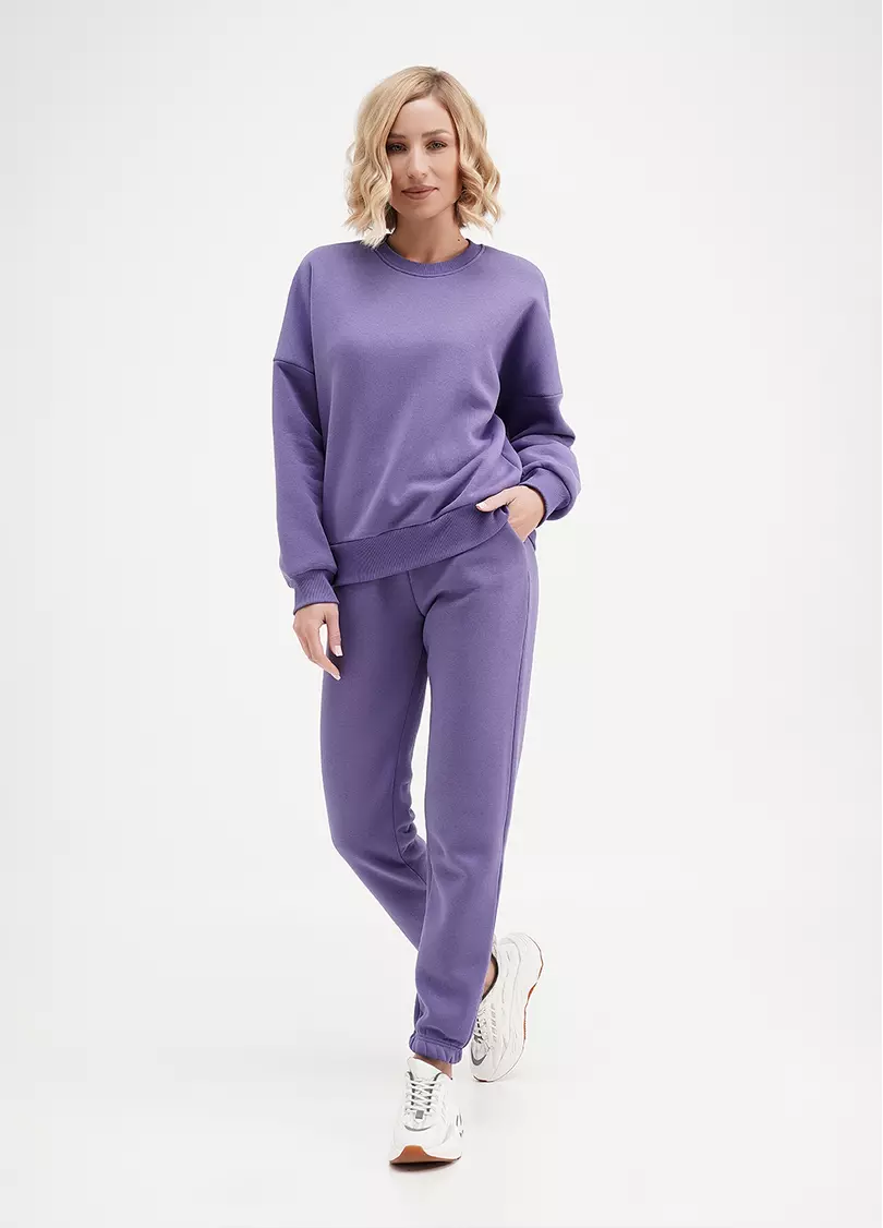 Спортивні штани на флісі SPORT STYLE 4312/170 plum (фіолетовий)