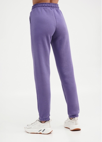 Спортивные штаны на флисе SPORT STYLE 4312/170 plum (фиолетовый)