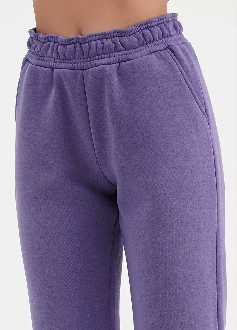 Спортивні штани на флісі SPORT STYLE 4312/170 plum (фіолетовий)