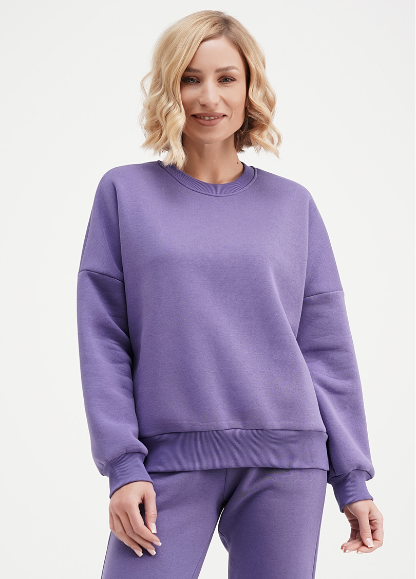 Свитшот на флисе SPORT STYLE 4413/170 plum (фиолетовый)