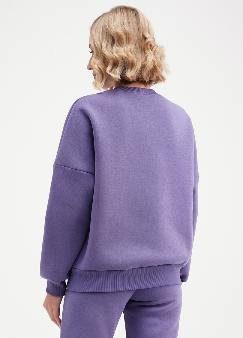 Свитшот на флисе SPORT STYLE 4413/170 plum (фиолетовый)