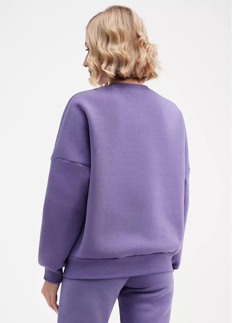 Свитшот на флисе SPORT STYLE 4413/170 plum (фиолетовый)