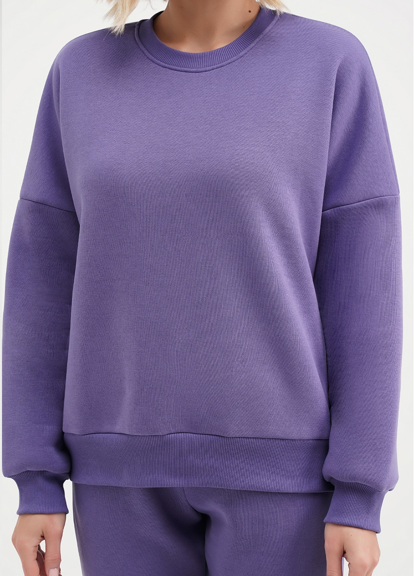Свитшот на флисе SPORT STYLE 4413/170 plum (фиолетовый)