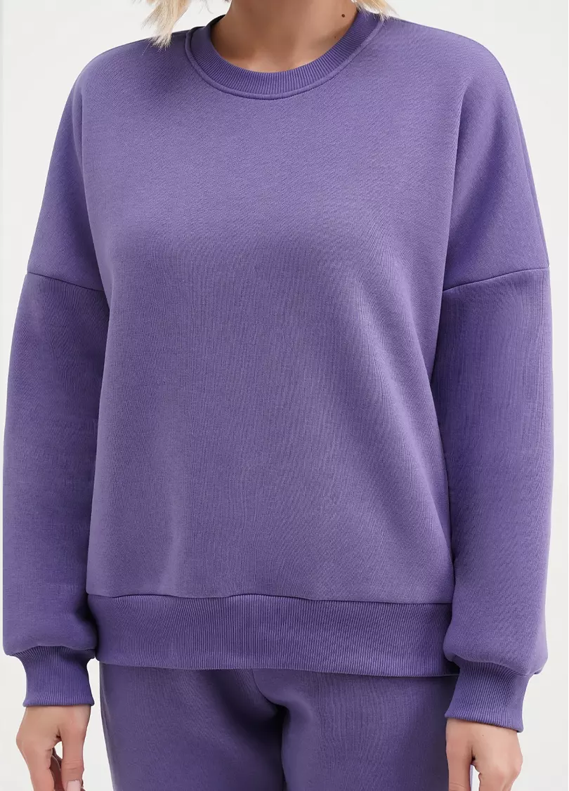 Свитшот на флисе SPORT STYLE 4413/170 plum (фиолетовый)