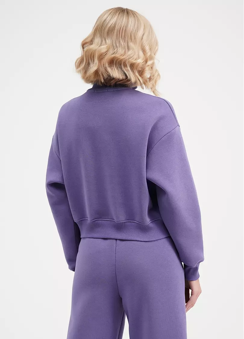 Світшот на блискавці SPORT STYLE 4416/170 plum (фіолетовий)