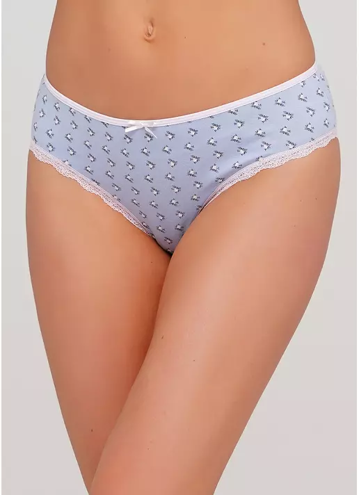 Хлопковые трусы слипы с рисунком Florian 2210/61 (голубой)