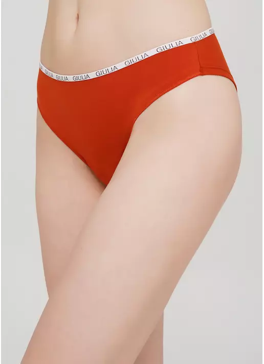 Женские трусики бразилиана Logo 2206/60 (терракотовый)