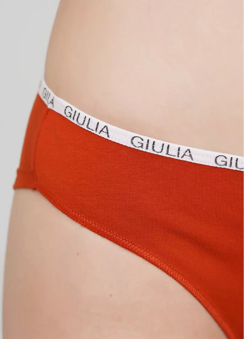 Женские трусики бразилиана Logo 2206/60 (терракотовый)