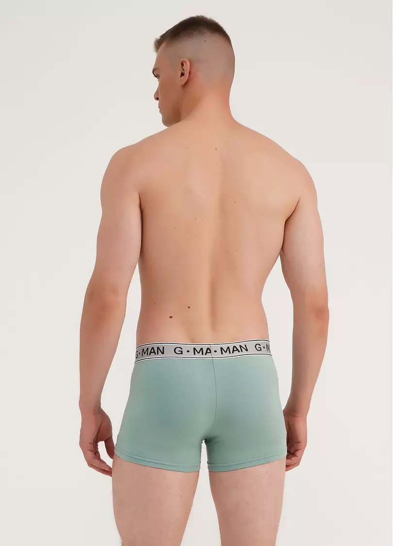 Трусы боксеры из хлопка G-MAN 20401/60 mint (зеленый)