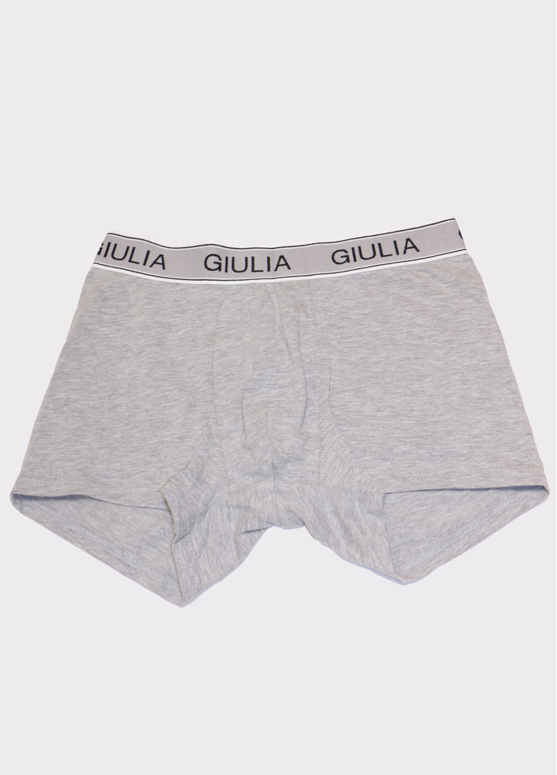 Мужские трусы боксеры хлопок 20401/60 grey melange (серый)