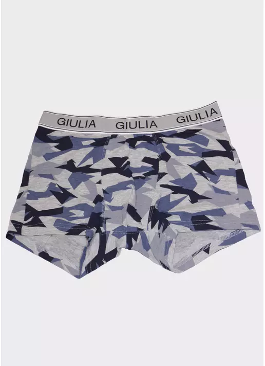 Мужские трусы с принтом PRINT 20401/60 camouflage (серый)