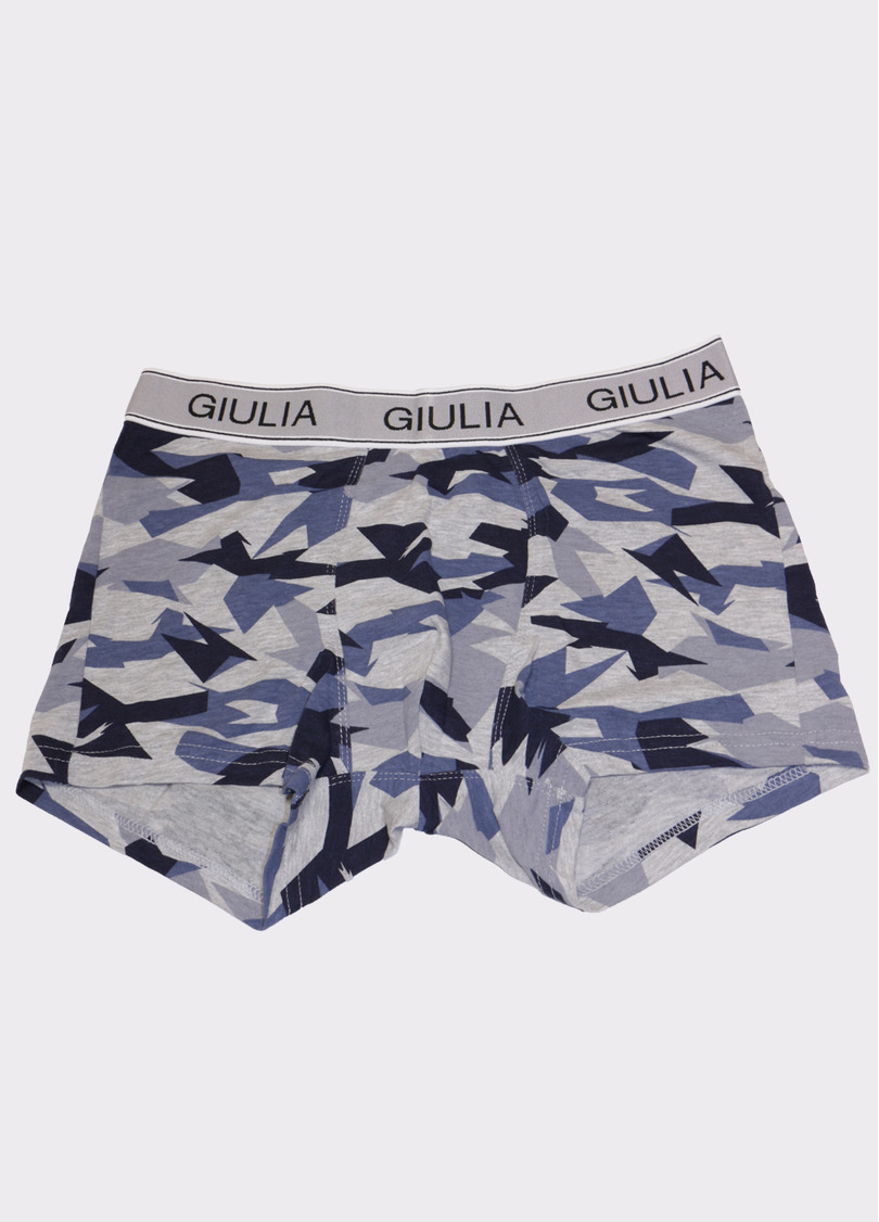 Мужские трусы с принтом PRINT 20401/60 camouflage (серый)