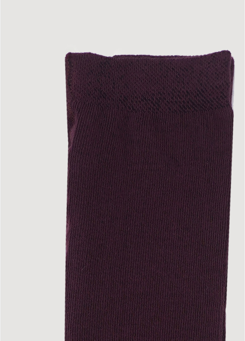 Детские хлопковые колготки D025 KIDS CLASSIC marsala (бордовый)