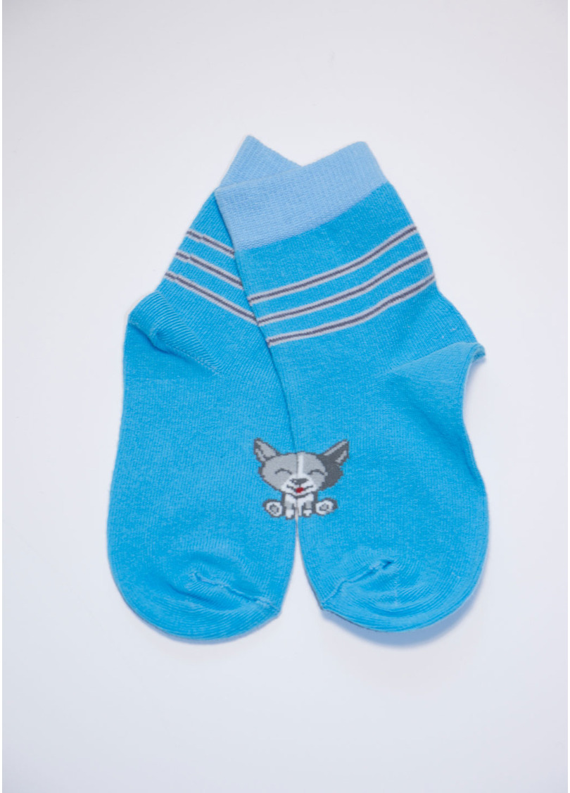 Носки детские из хлопка KSL-002 calzino blue (голубой)