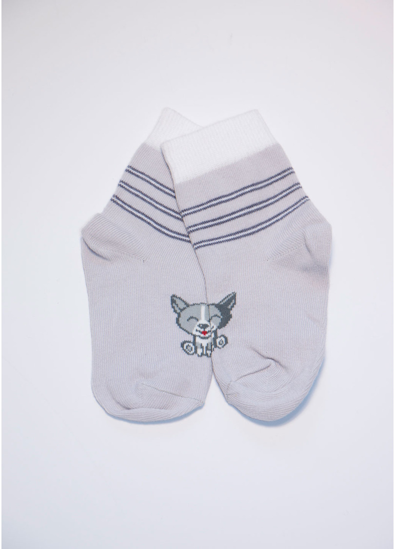 Носки детские из хлопка KSL-002 calzino steel (серый)