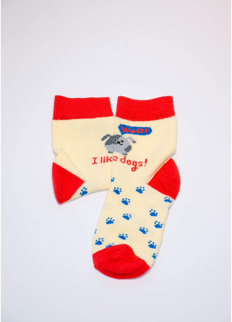 Детские носки из хлопка KSL-006 calzino yellow (желтый)