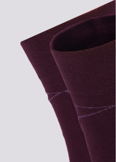 Чоловічі шкарпетки з малюнком павутини MS3 HALLOWEEN 006 vintage grape (фіолетовий)