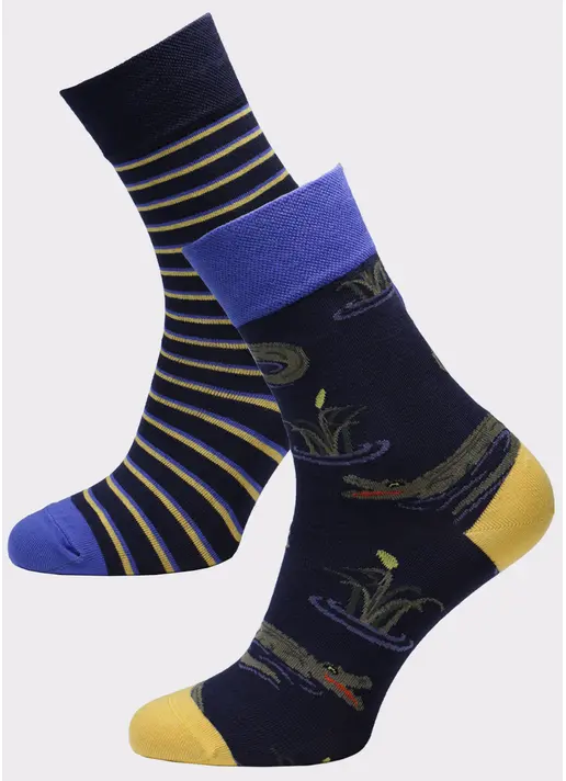 Мужские высокие носки с рисунком MS3 SOFT FASHION 055 (пак х2)