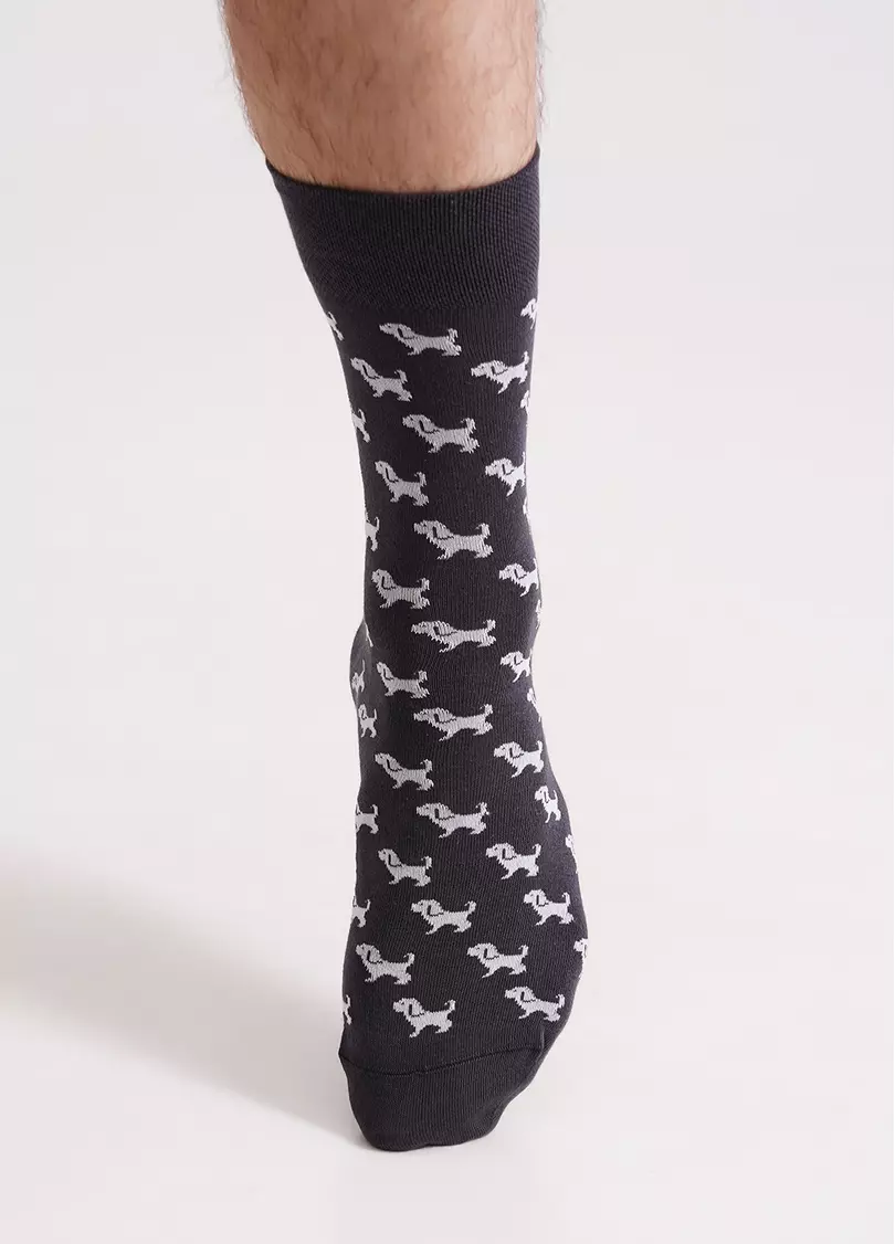 Чоловічі шкарпетки з собаками MS3 SOFT FASHION ASSORTED