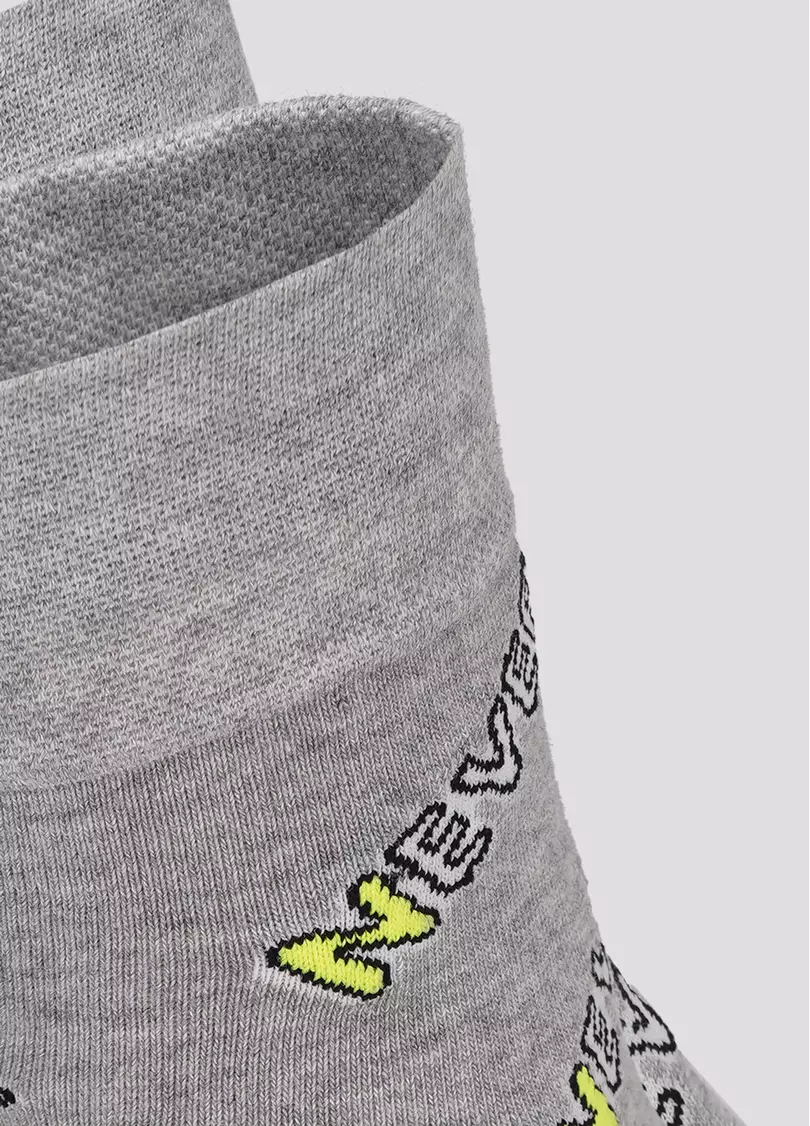Чоловічі шкарпетки в написи "NEVER" MS3 TEXT 002 light grey melange (сірий меланж)