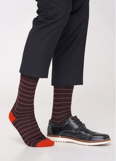 Бавовняні чоловічі шкарпетки MS3C/Sl-403 brown (коричневий)