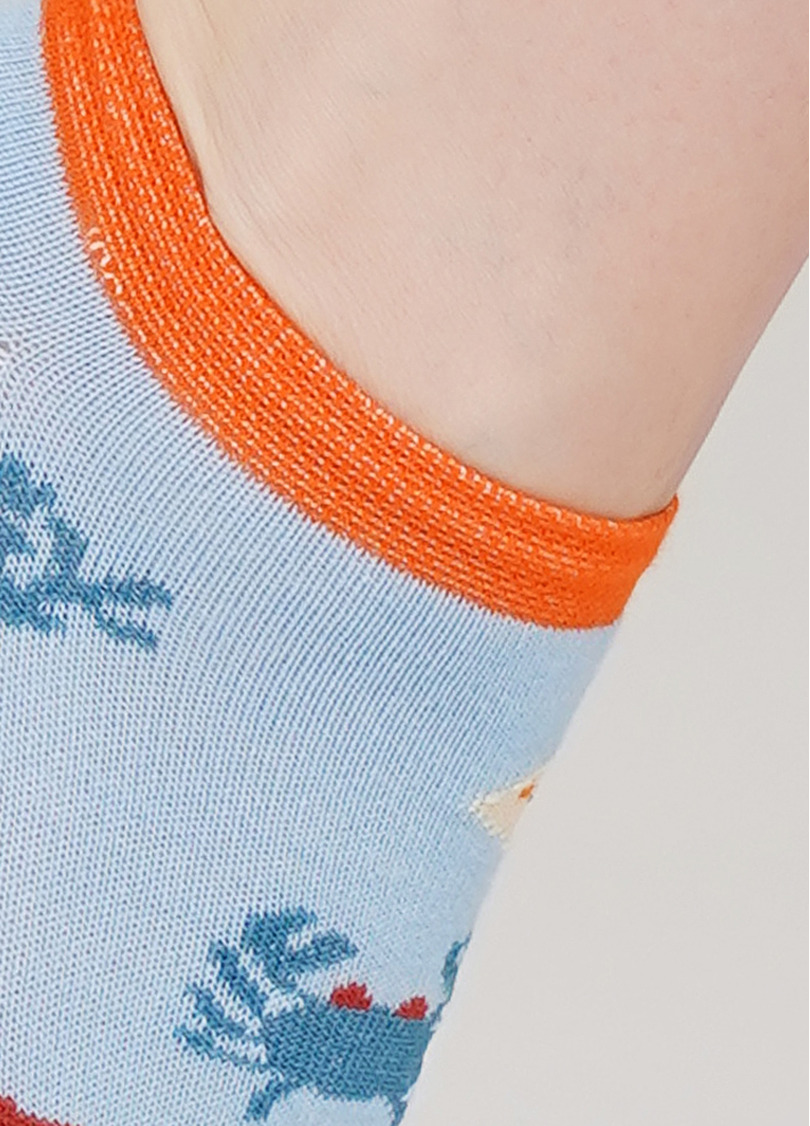 Жіночі короткі шкарпетки WS1 MARINE 011 (блакитний)