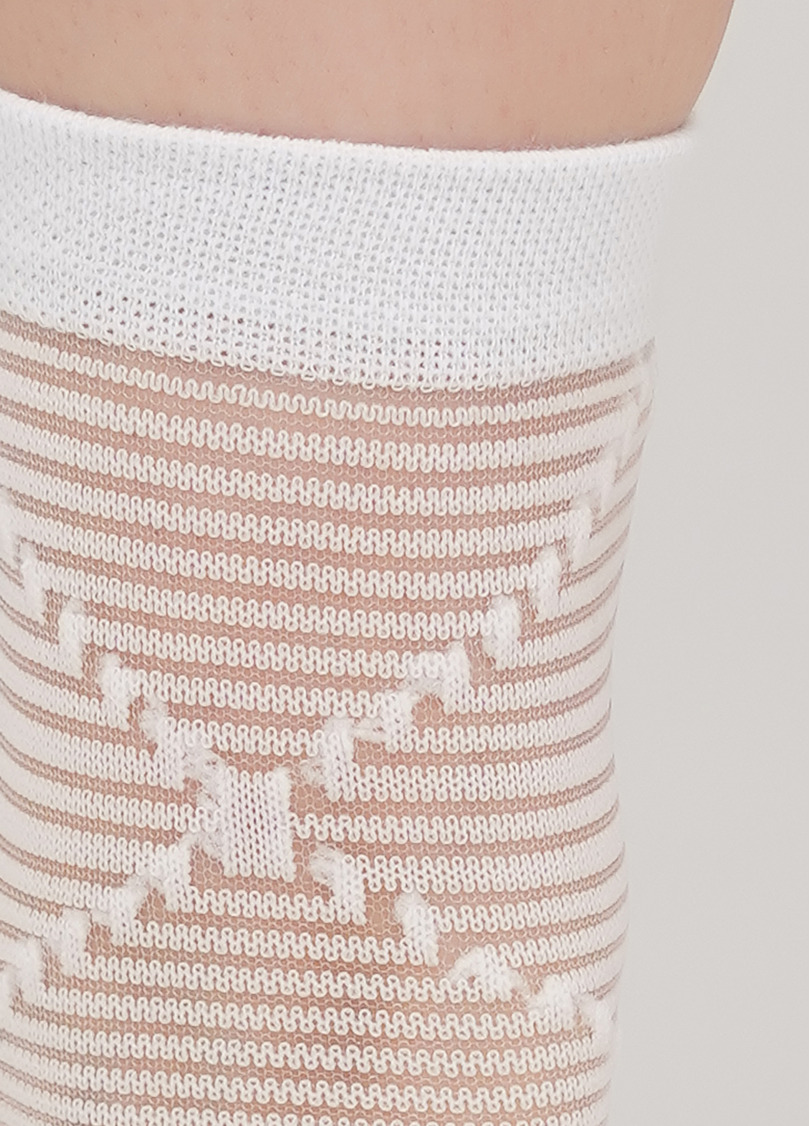 Женские носки прозрачные в полоску WS2 CRISTAL 049 (белый)