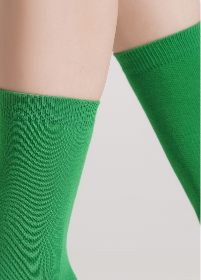 Носки из хлопка базовые WS3 CLASSIC [WS3C-cl] green (зеленый)