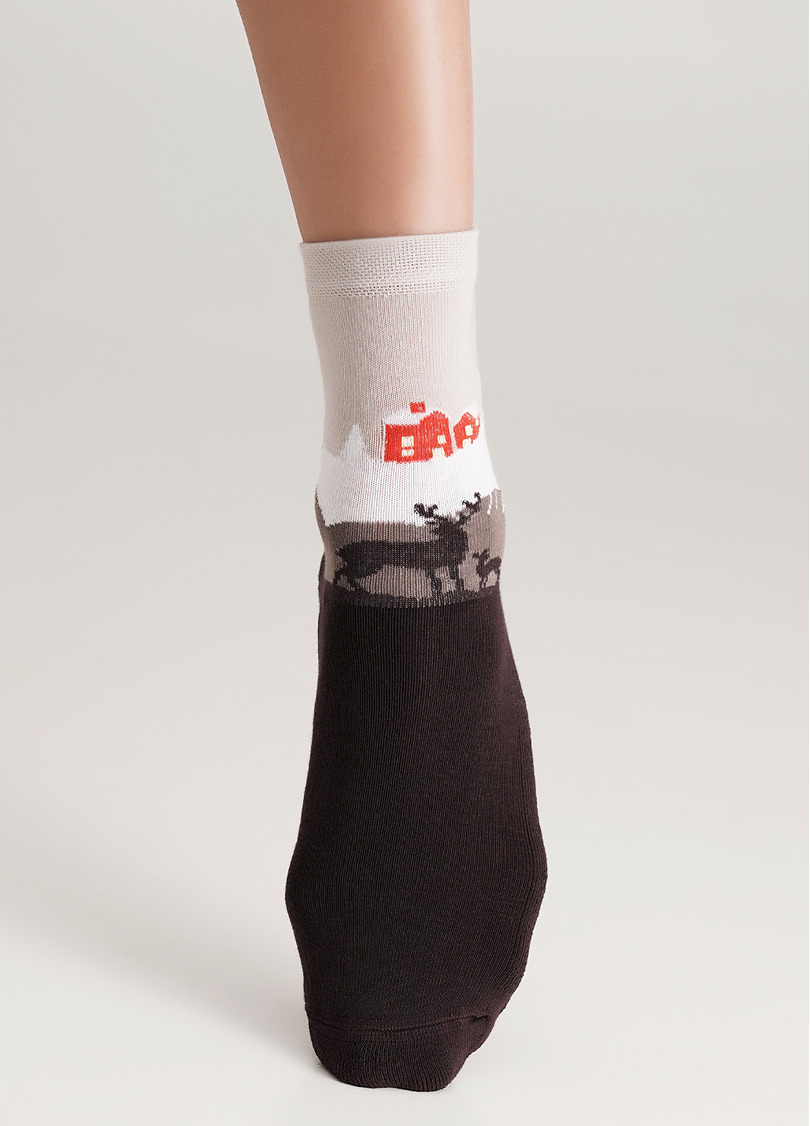 Носки со скандинавским домом с махровой стопой WS3 TERRY 2302 caffe (коричневый)