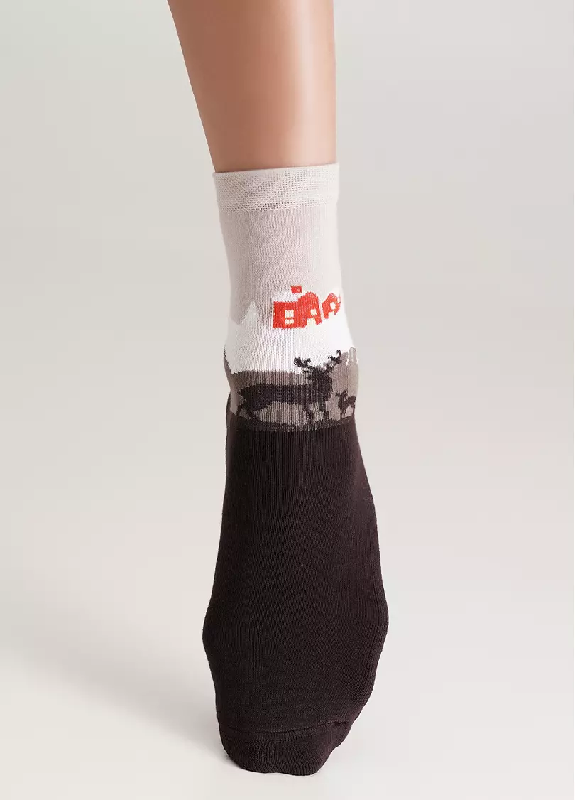 Носки со скандинавским домом с махровой стопой WS3 TERRY 2302 caffe (коричневый)