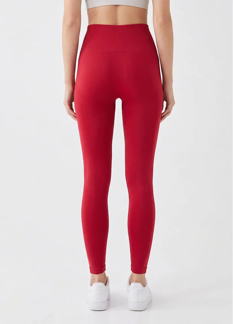 Легінси з широким поясом FLEXING LEGGINGS ACTIVE (winterberry, червоний)