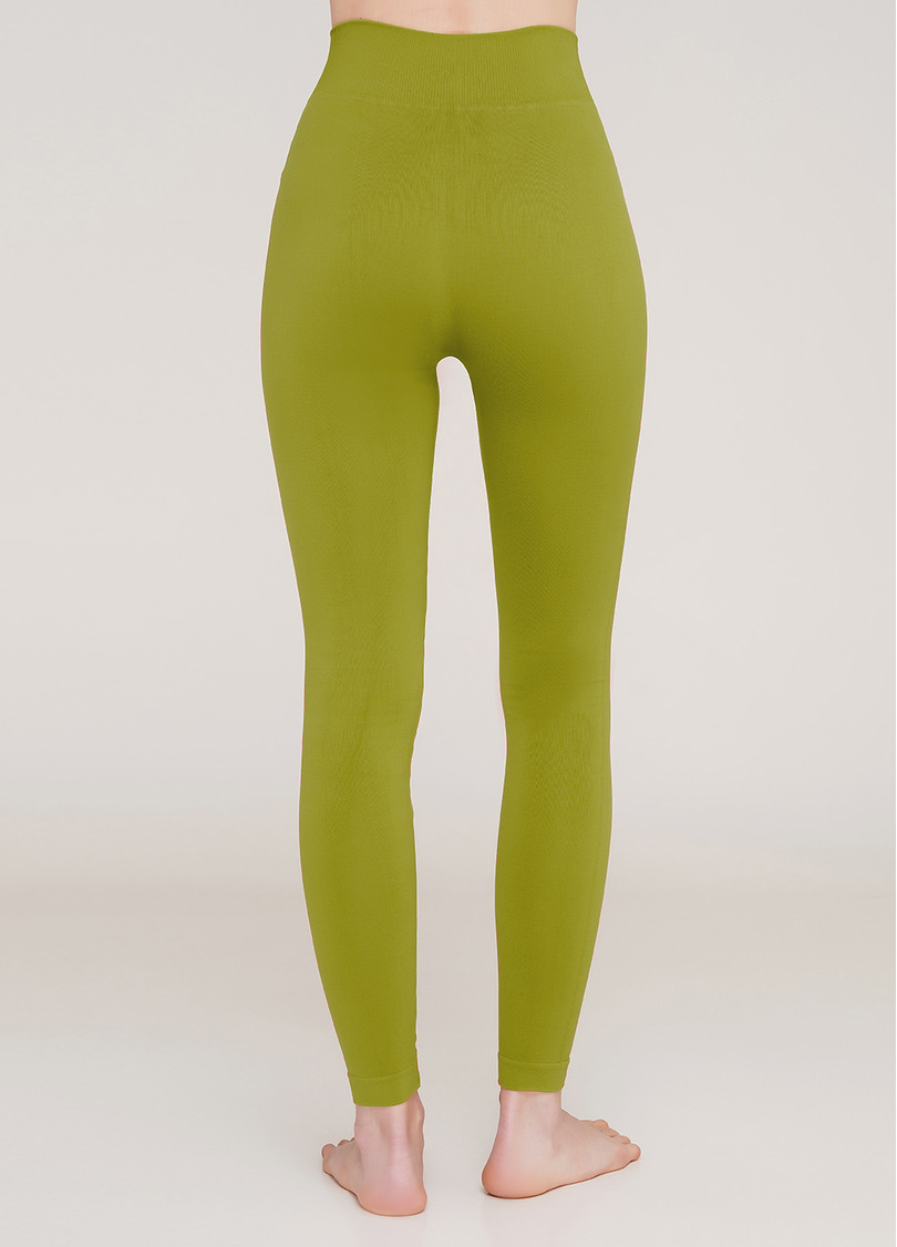 Бесшовные леггинсы из микрофибры LEGGINGS 02 fragile sprout (зеленый)