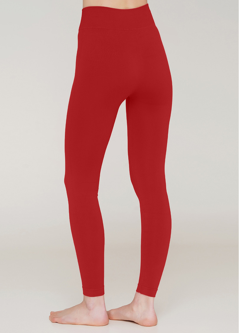 Бесшовные леггинсы из микрофибры LEGGINGS 02 winery (красный)
