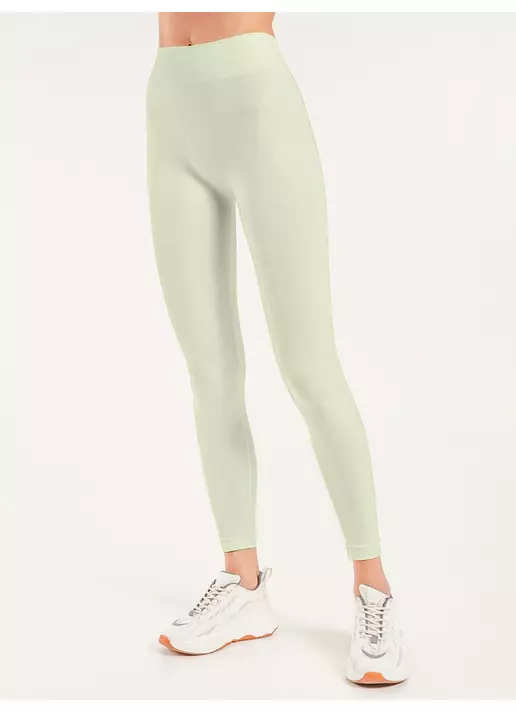 Бесшовные леггинсы для спорта LEGGINGS green ash (зеленый)