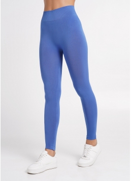 Бесшовные леггинсы для спорта LEGGINGS skydiver (синий)