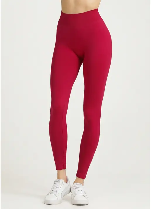 Бесшовные леггинсы из микрофибры LEGGINGS 02 winterberry (красный)